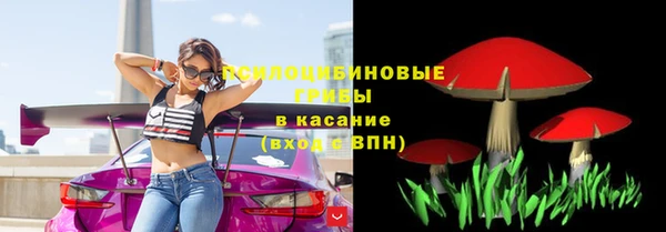 крисы Алзамай