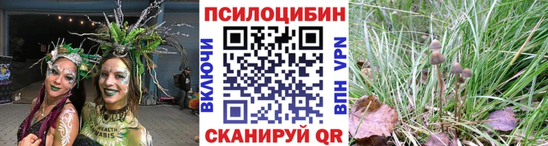 Купить где  Павловский Посад  Псилоцибиновые грибы GOLDEN TEACHER 